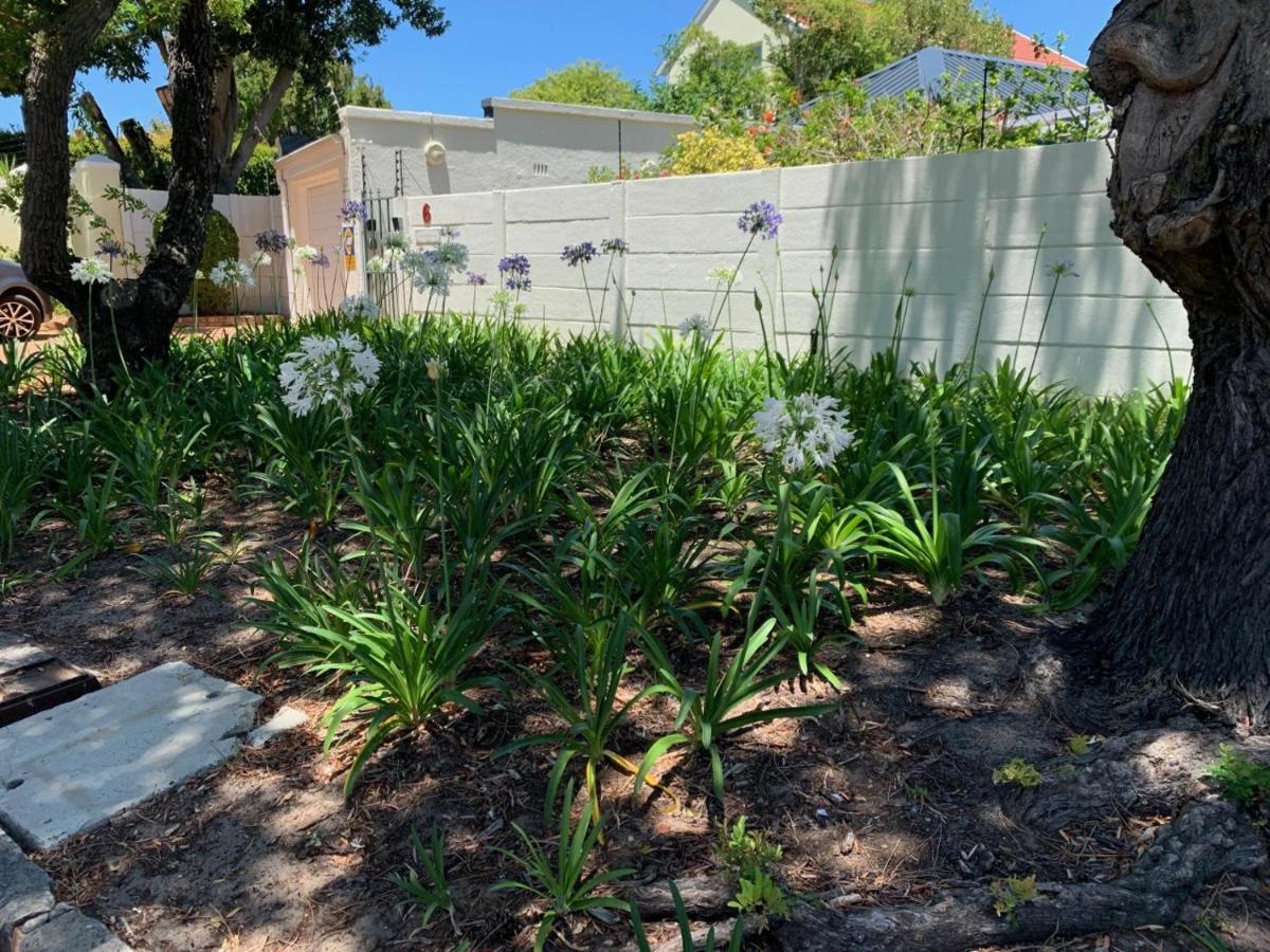 Squirrels Way Cottages Cape Town Bagian luar foto