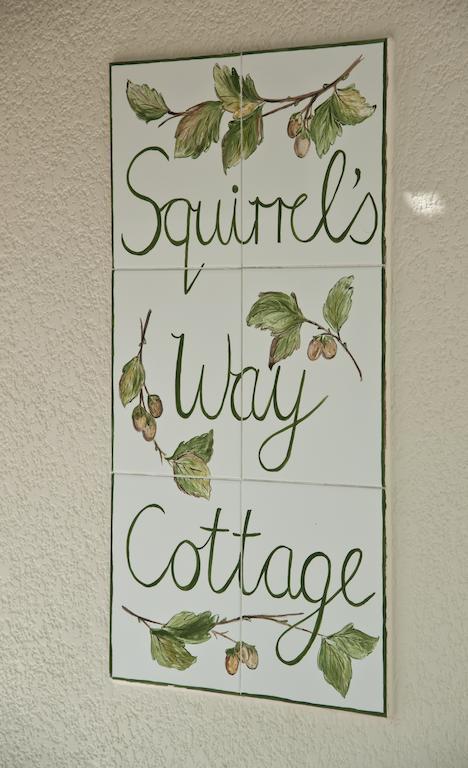Squirrels Way Cottages Cape Town Bagian luar foto